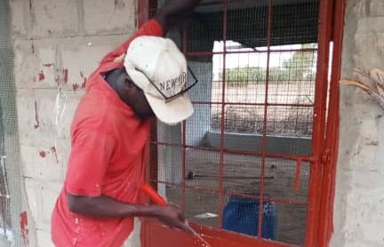 You are currently viewing Début des travaux de réhabilitation de la « Ferme école » au Sénégal dans la région de Thiès