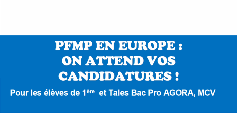 Lire la suite à propos de l’article Voyagez, apprenez, grandissez ! Erasmus+ vous offre un stage à l&rsquo;étranger