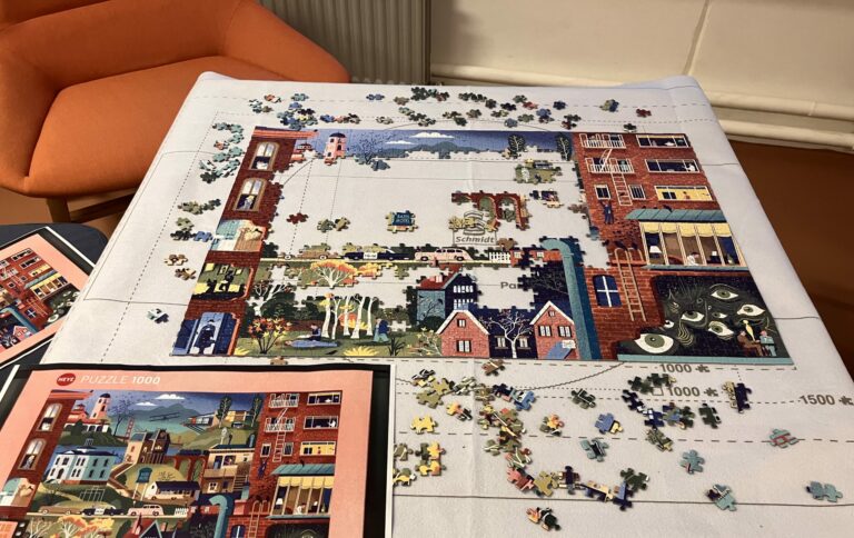 Lire la suite à propos de l’article Un puzzle participatif au CDI !