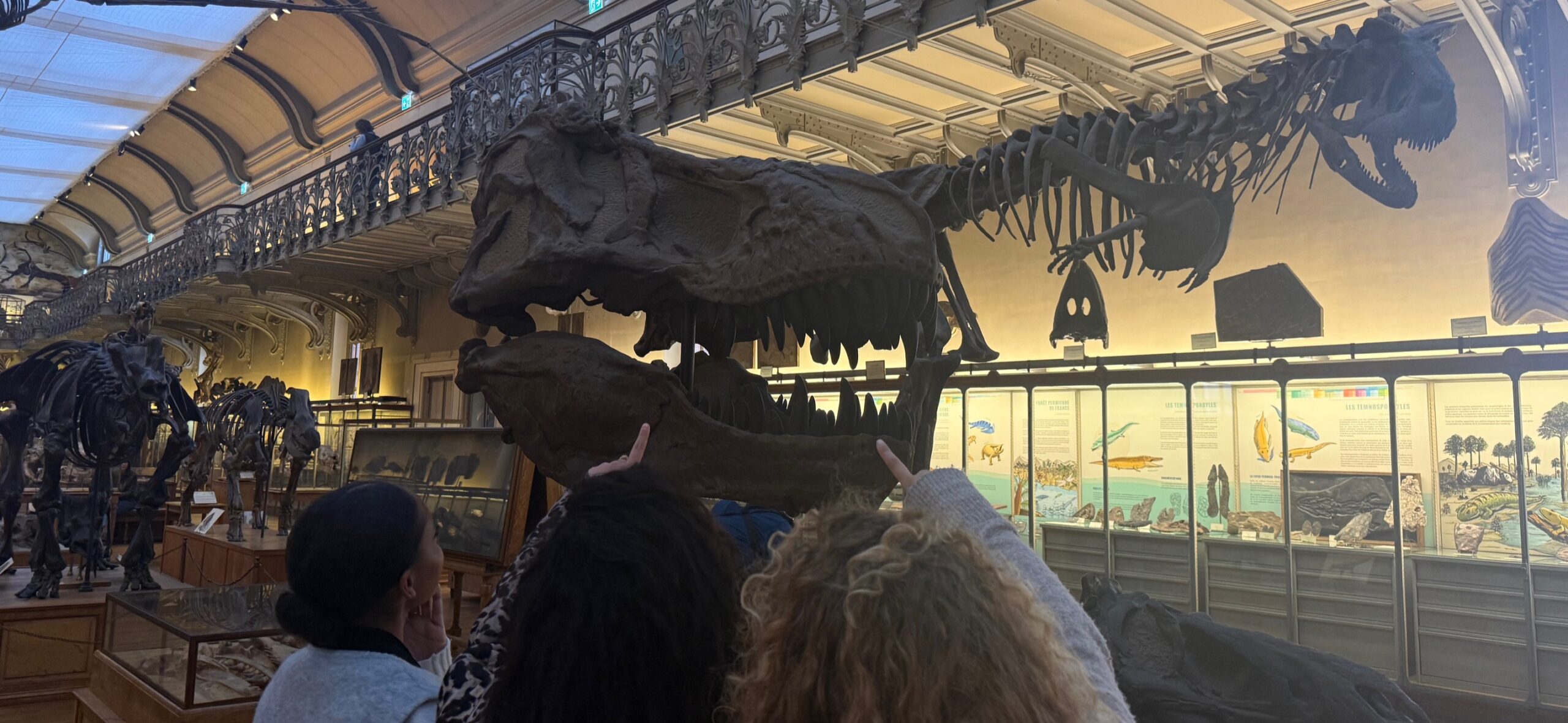 Lire la suite à propos de l’article Une sortie pédagogique des TSTS2 placée sous le signe des dinosaures et de l’évolution du vivant.